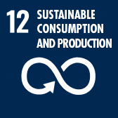sustainable consumption and production